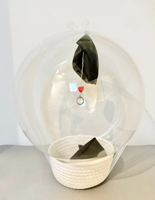 Ballon de demande en mariage – Image 3