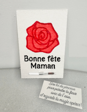 Carte magique en éponge – Bonne fête Maman